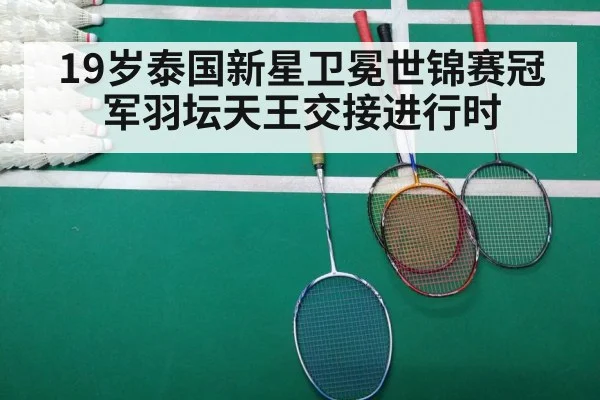 badminton final match
