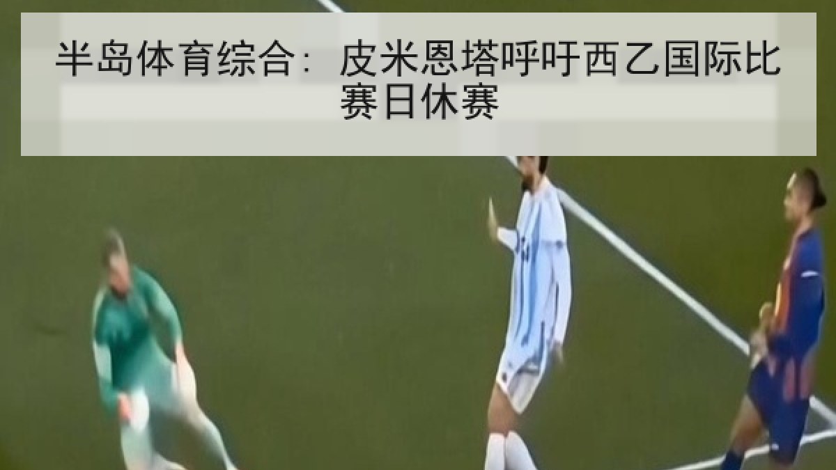 半岛体育综合: 皮米恩塔呼吁西乙国际比赛日休赛